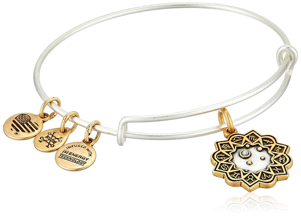 Alex and Ani Libra Two Tone Bangle Bracelet NWTBC
