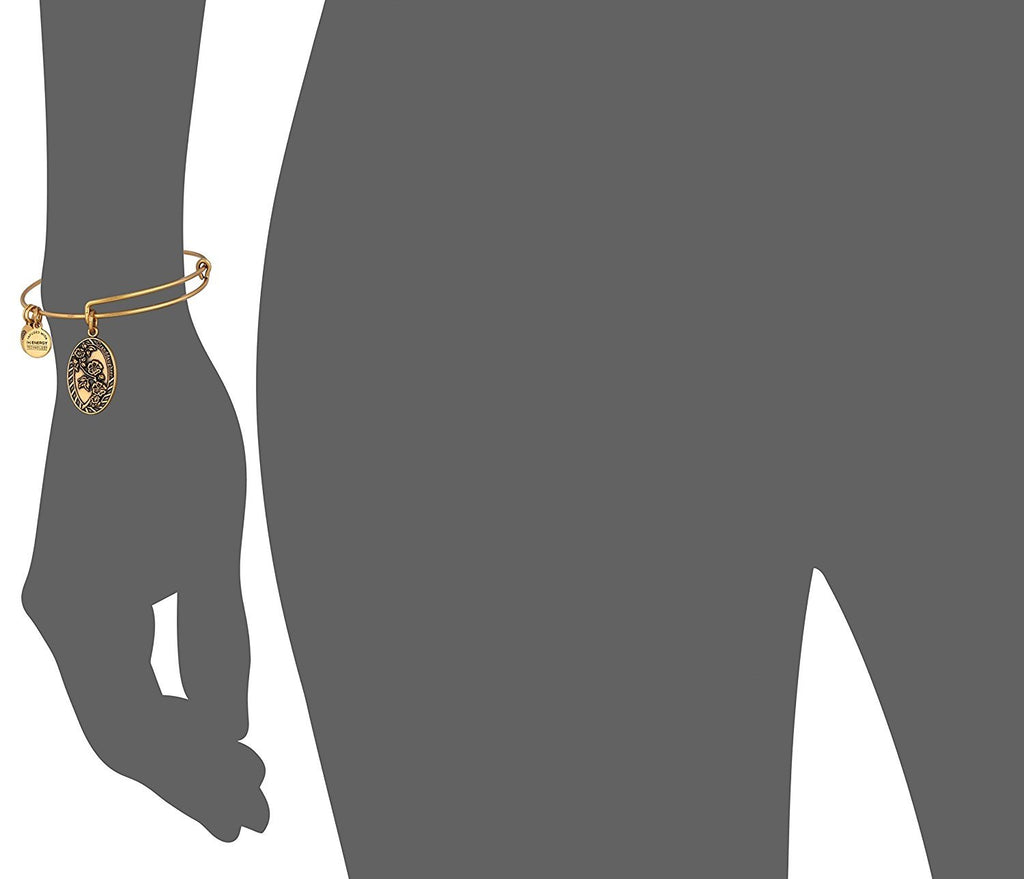 Alex and Ani Granddaughter Rafaelian Bangle Bracelet