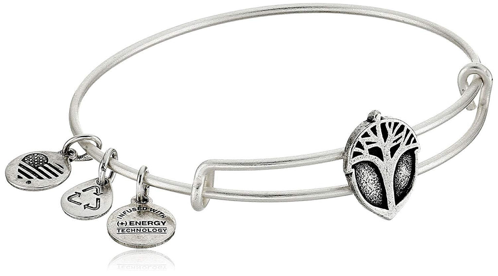Alex and Ani Unexpected Miracles Slider Bangle Bracelet