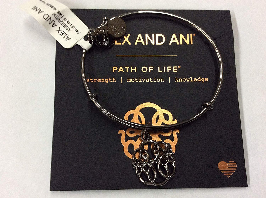 Alex and Ani Path of Life IV Bangle Bracelet Midnight Silver NWTBC