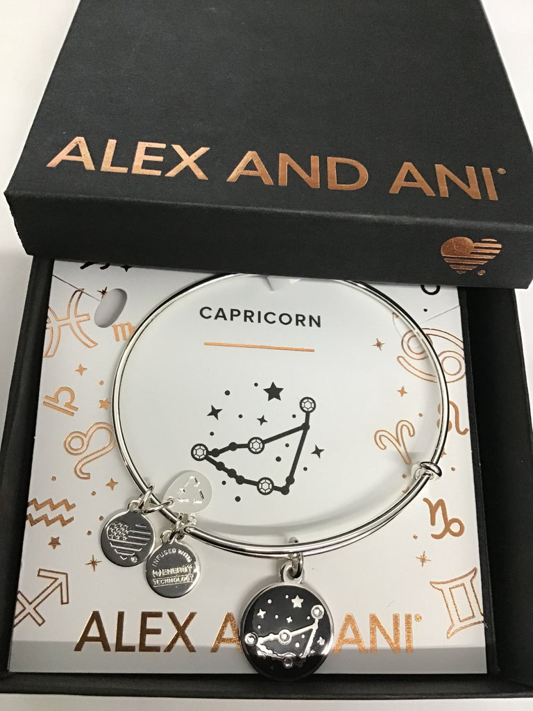 COLOR INFUSION, Capricorn EWB, SS Bracelet New In The Box