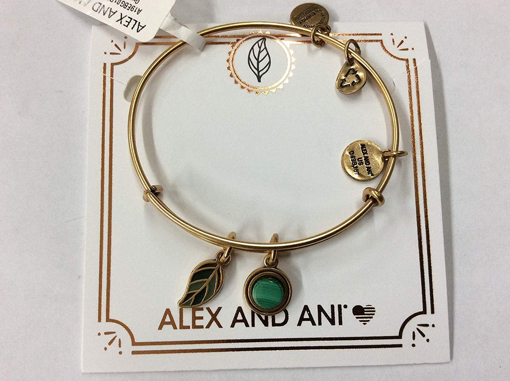 Alex and Ani Women's Grounded Bangle Bracelet