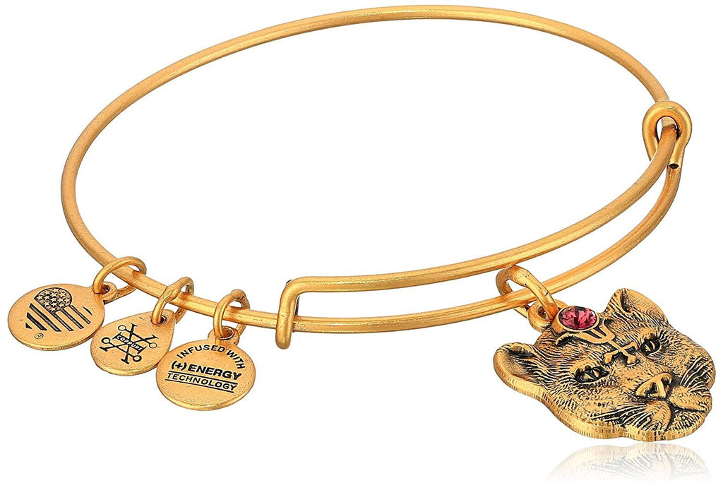 Alex and Ani Wild Heart II Bangle Bracelet