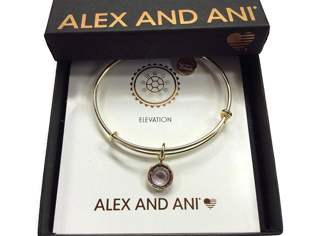 Alex and Ani June Color Code Amethyst Bangle Bracelet Shiny Gold NWTBC