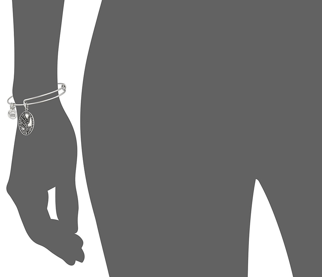 Alex and Ani Aunt Rafaelian Bangle Bracelet