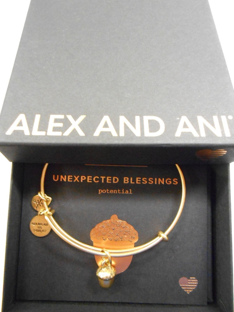 Alex and Ani UNEXPECTED BLESSINGS II Expandable Bracelet Rafaelian Gold NWTBC