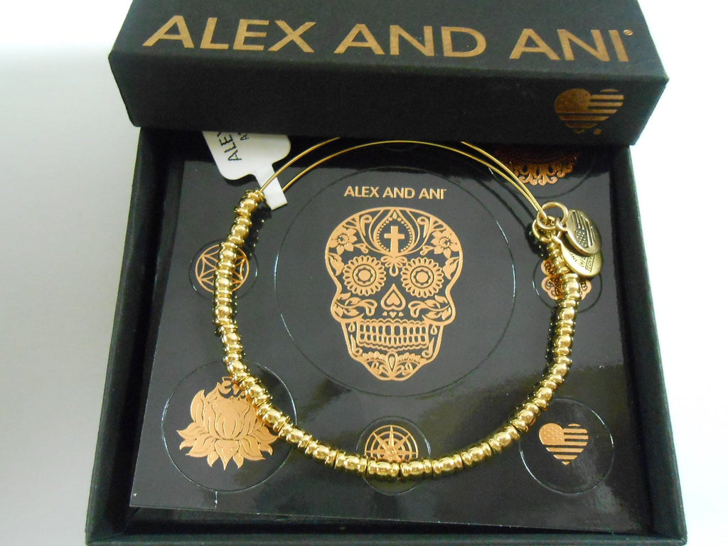 Alex and Ani Womens Rocker Bangle Bracelet