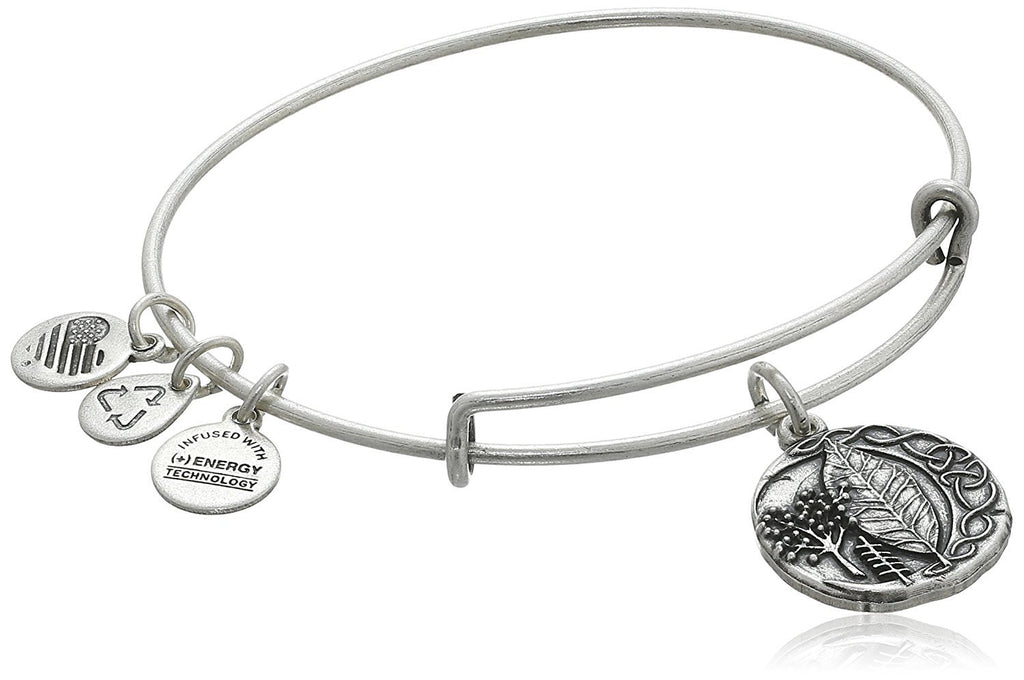 Alex and Ani The Truth of Dreams Bangle Bracelet