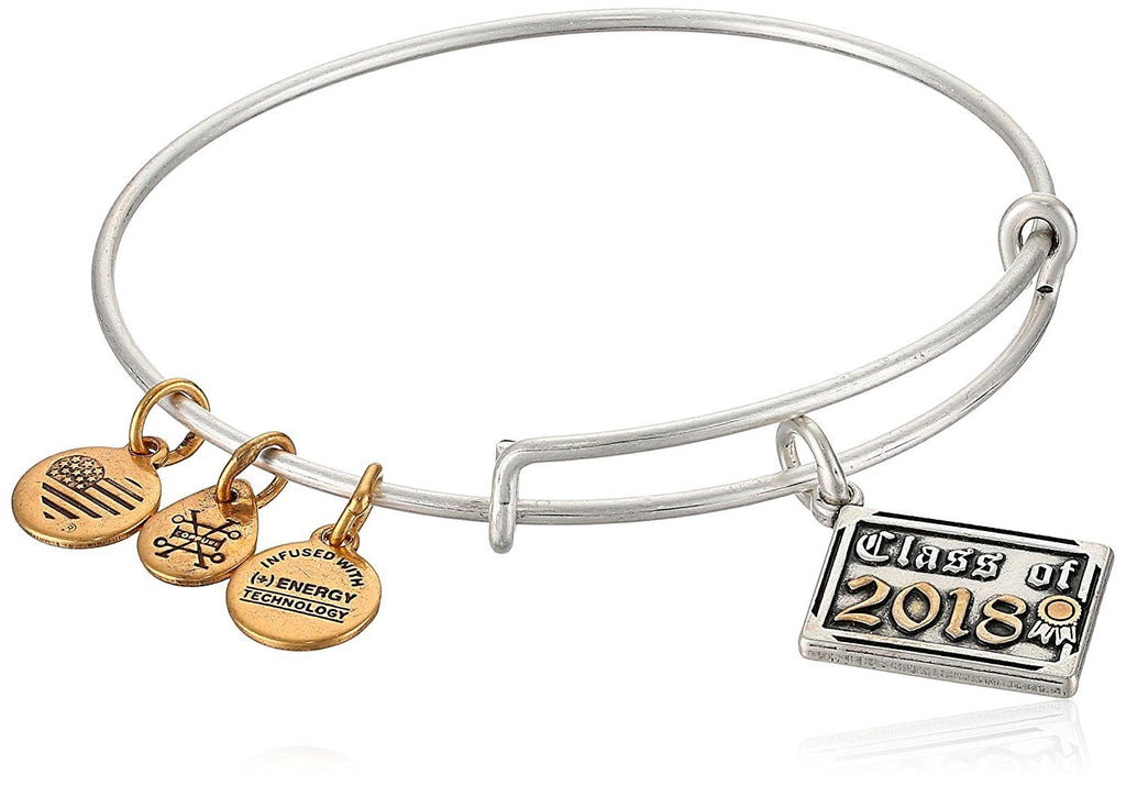 Alex and Ani Womens Class of 2018 EWB Bangle Bracelet, Expandable