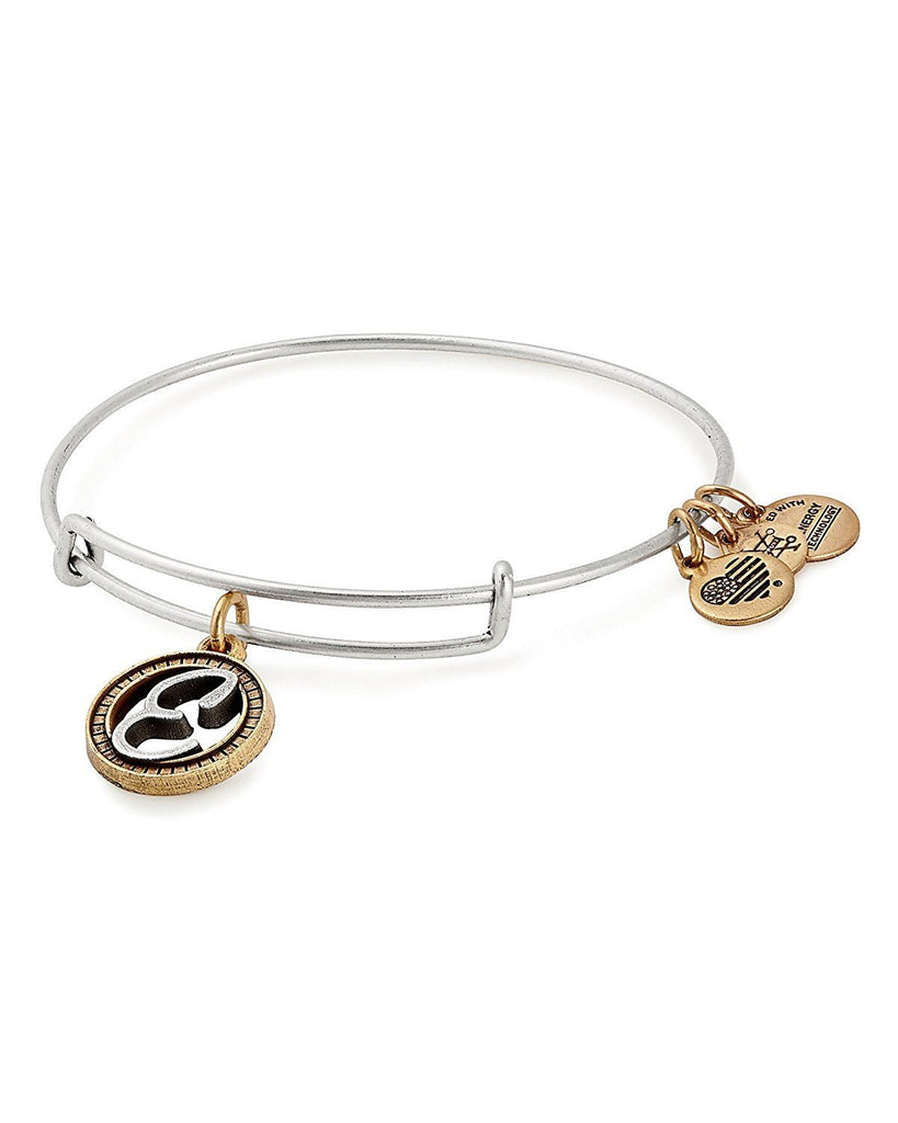 Alex and Ani Initial E Two-Tone Charm Bangle Bracelet - Rafaelian Gold and Silver Finish - A18EBINT05TTRS