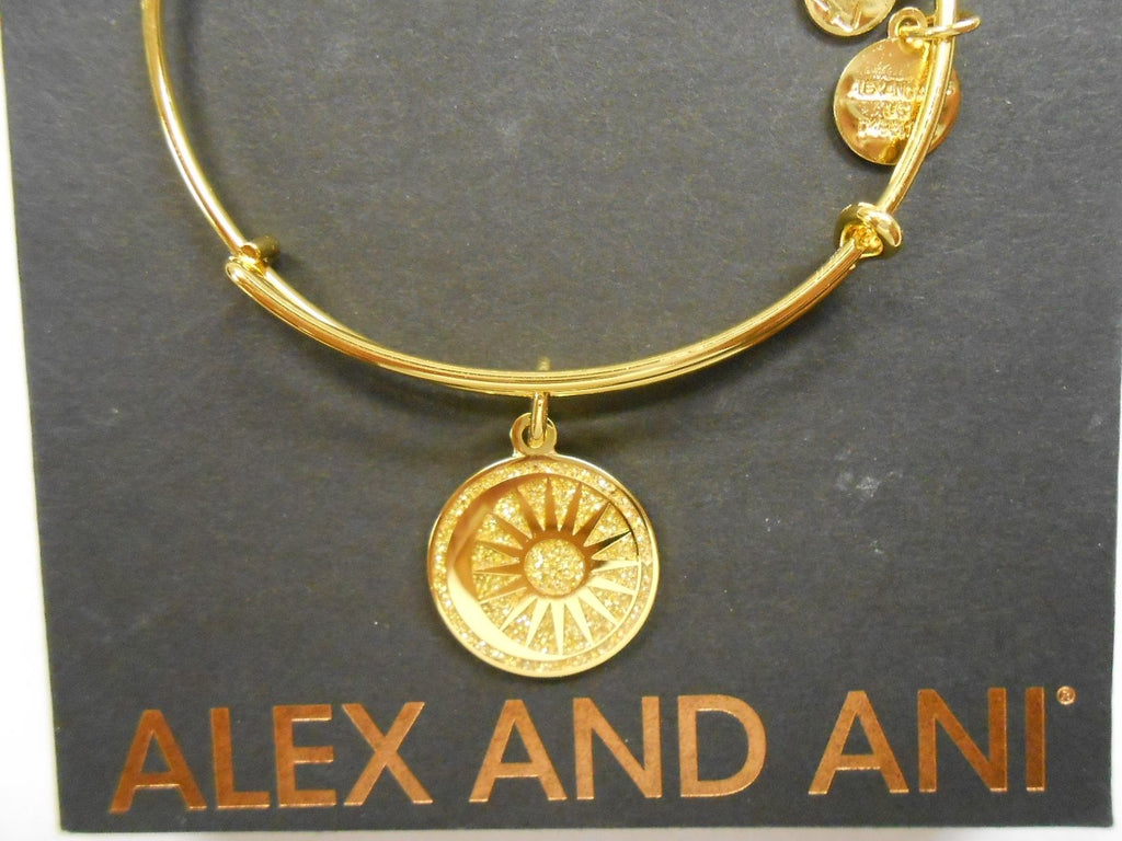 Alex and Ani Womens Color Infusion Cosmic Balance Bangle