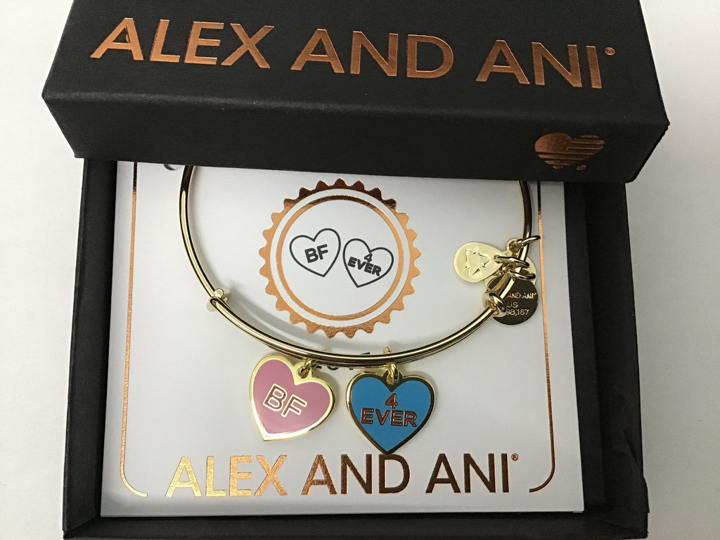 Alex and ANI Color Infusion Best Friends Duo Charm Bangle Bracelet Gold One Size