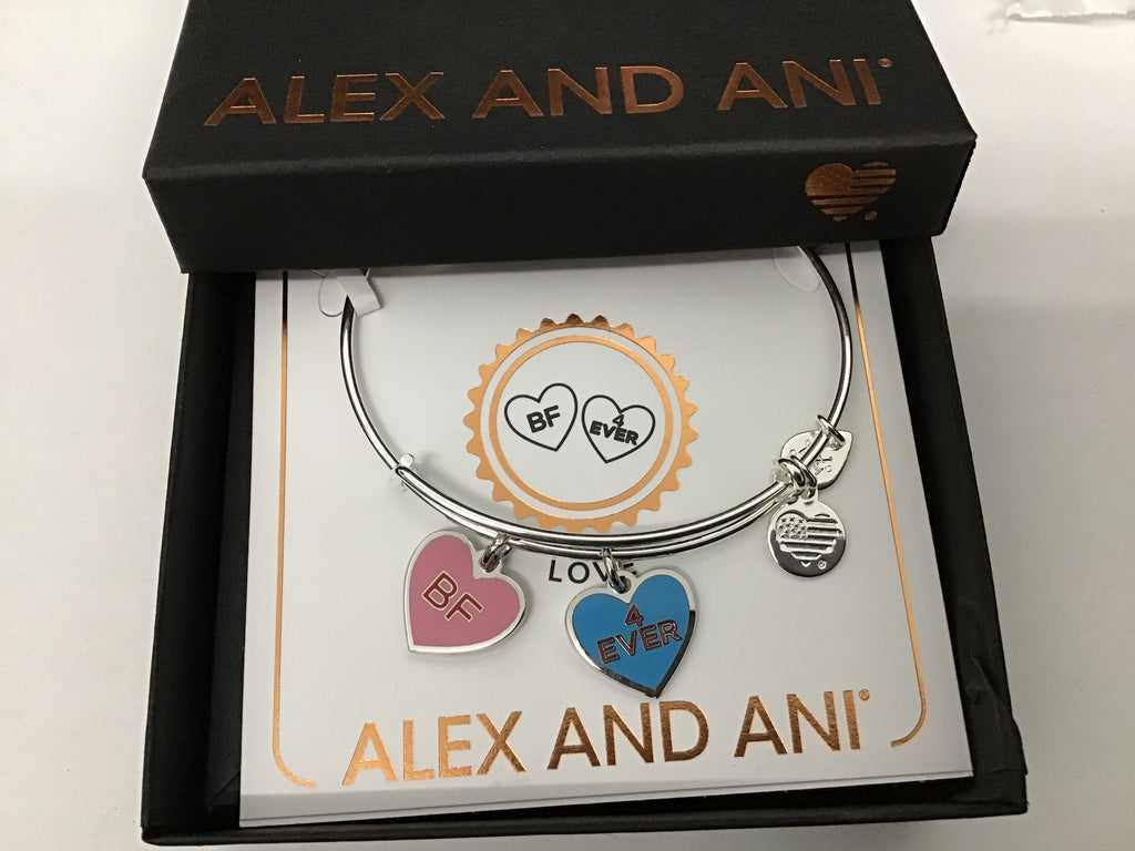 Alex and ANI Color Infusion Best Friends Duo Charm Bangle Bracelet Silver One Size