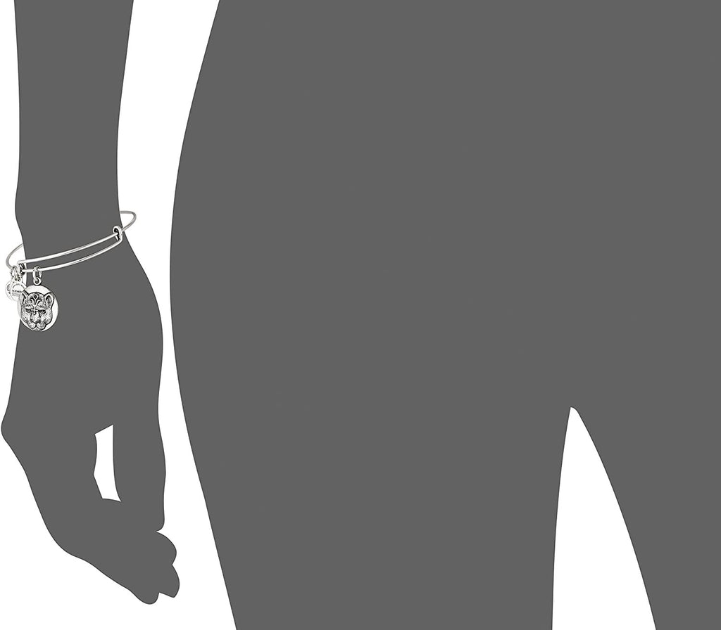 Alex and Ani Wild Heart Expandable Rafaelian Silver-Tone Bangle Bracelet