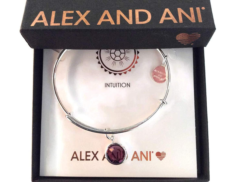 Alex and Ani February Color Code Shiny Silver NWTBC