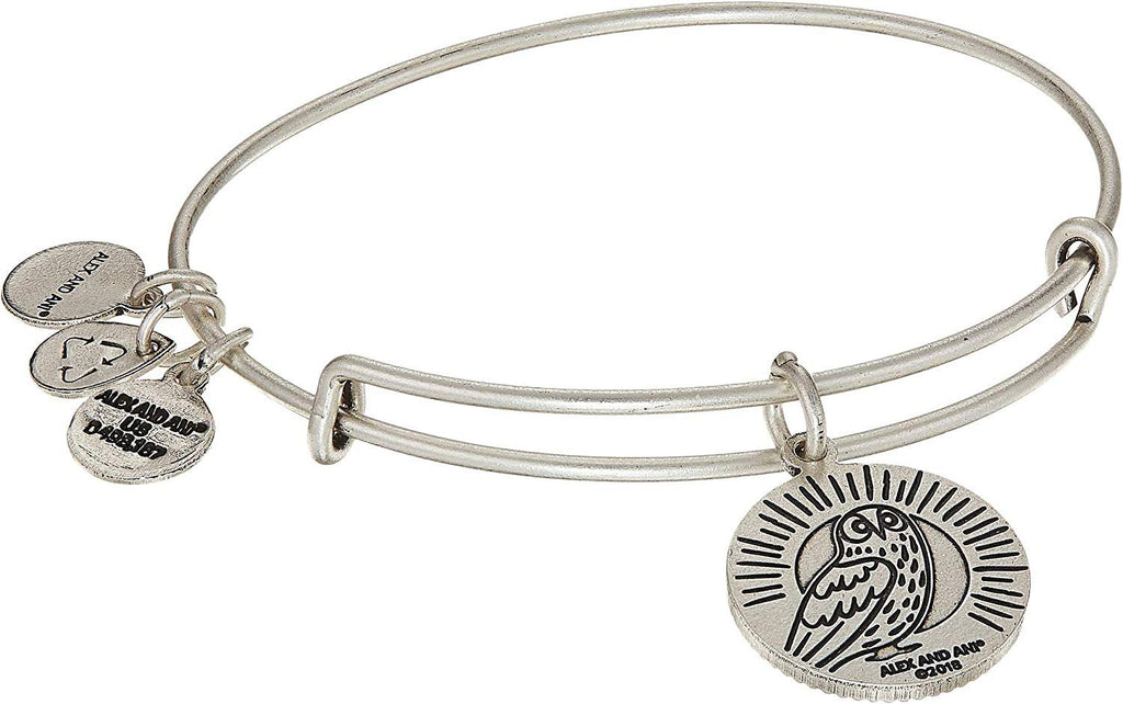 Alex and Ani Womens Teacher Bangle