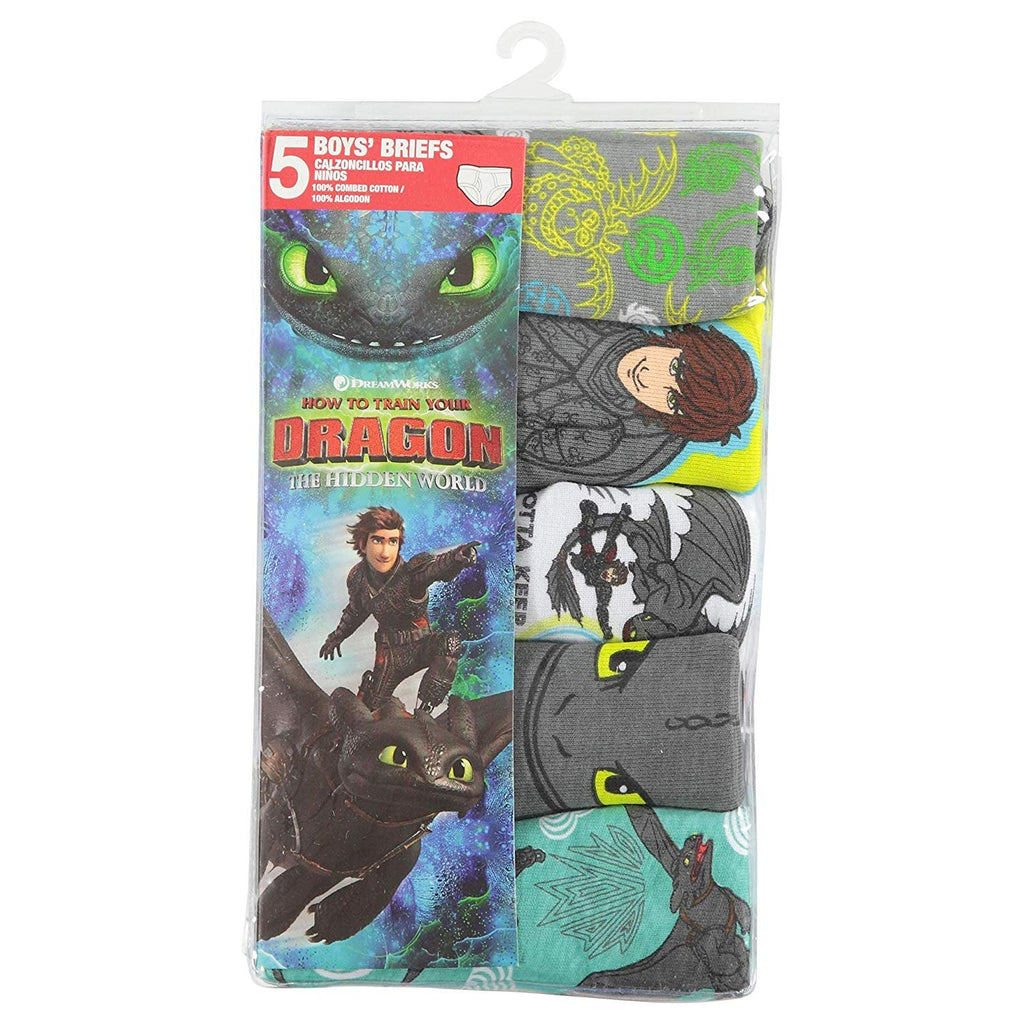 Universal Train Your Dragon 2 Boy's 5-Pack Brief