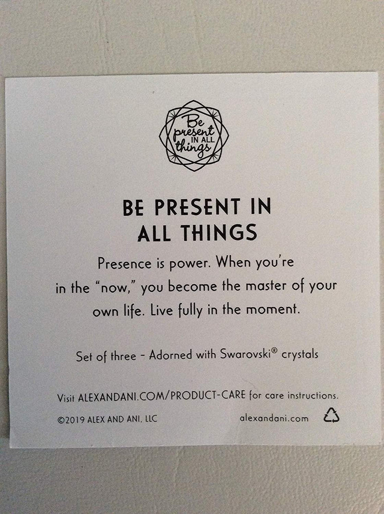 Alex and Ani Be Present in All Things Set of 3 Bangle Bracelet Shiny Rose NWTBC