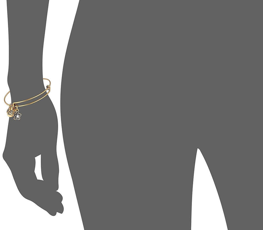Alex and Ani Charity Design, True Wish EWB Bangle Bracelet