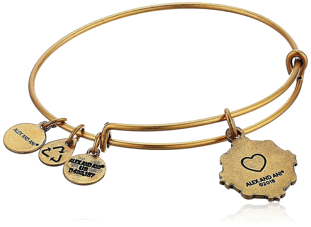 Alex and Ani Womens Because I Love You Aunt III Bangle