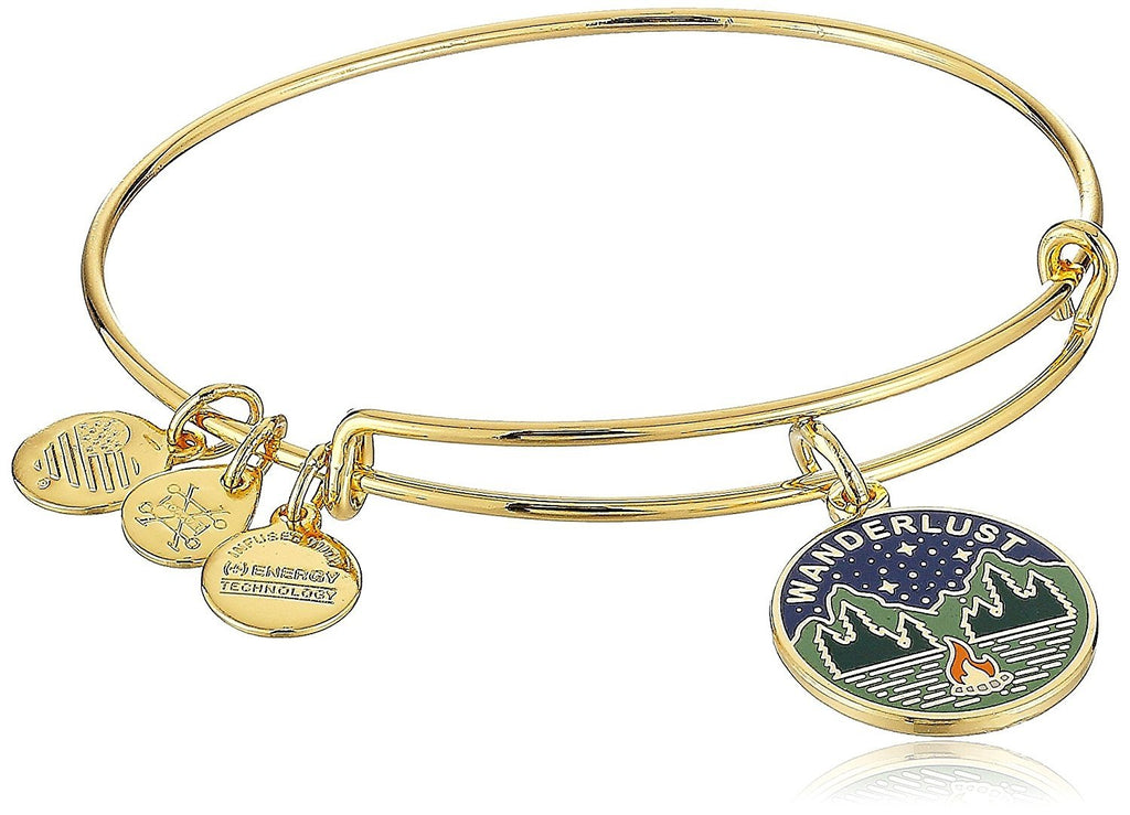 Alex and Ani Words are Powerful, Wanderlust Bangle Bracelet