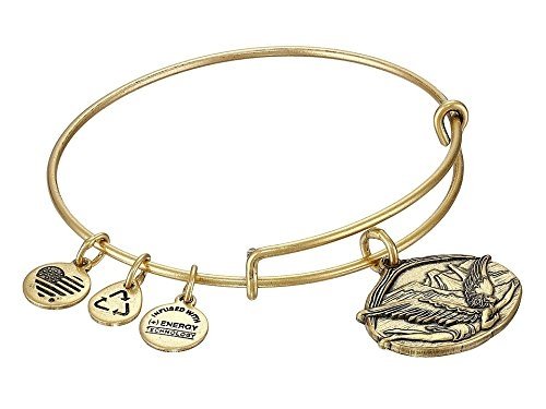 Alex and Ani Guardian of Freedom Charm Bangle Rafaelian Gold Finish Bracelet, A14EB88RG