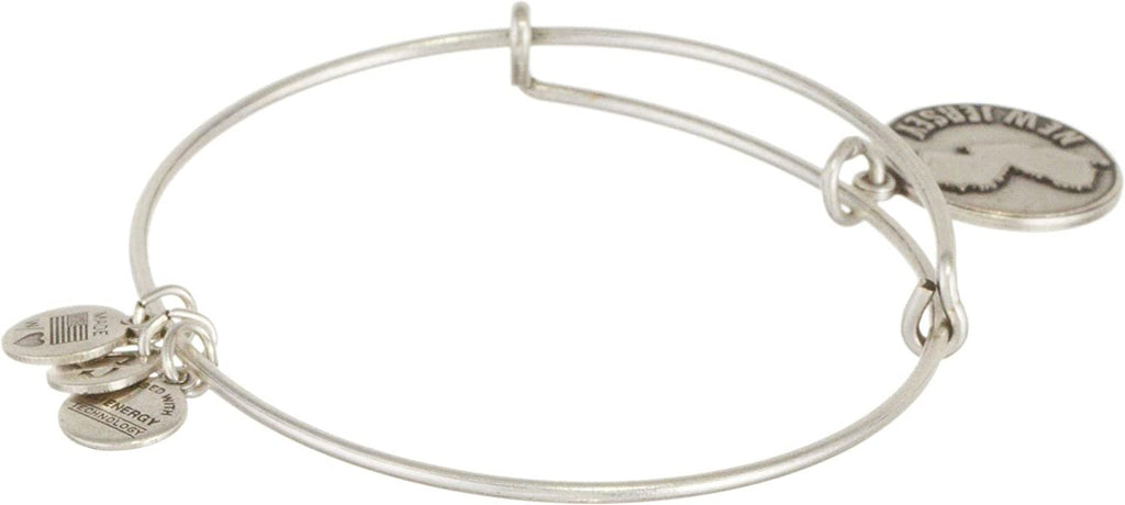 Alex and Ani New Jersey Charm Bangle Rafaelian Silver Finish One Size
