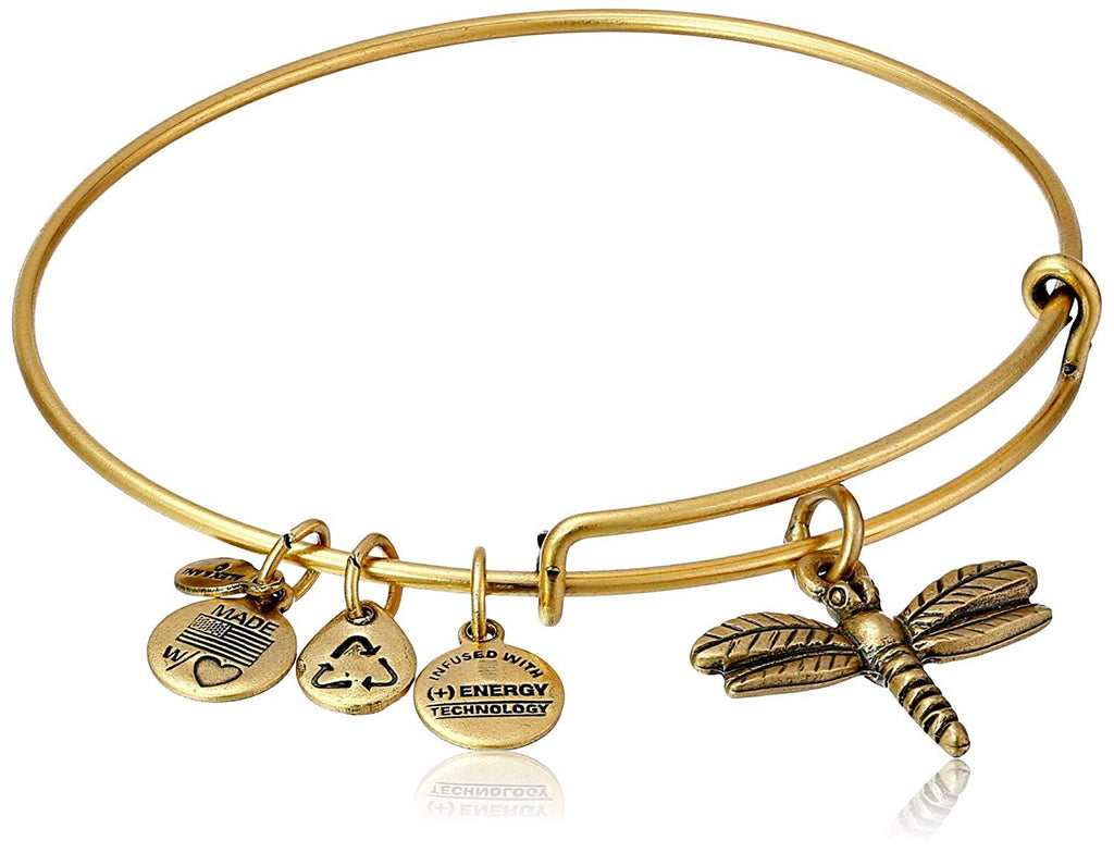 Alex and Ani Womens Dragonfly Charm Bangle