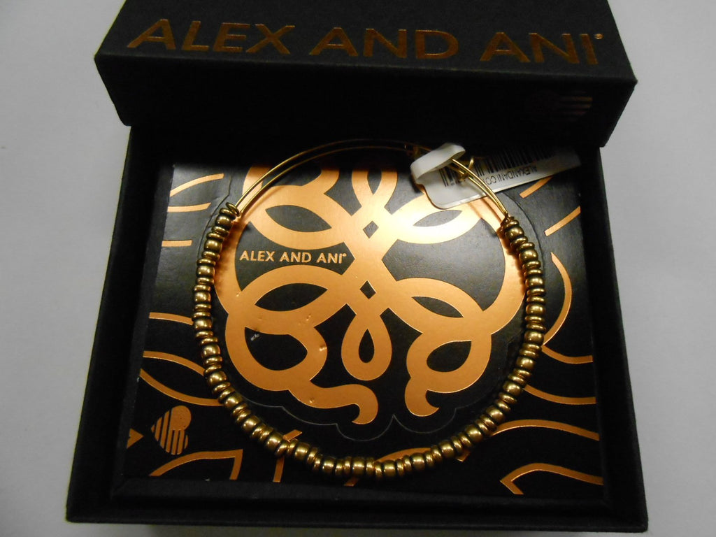 Alex and Ani Rocker Bangle - A17EBROCRG