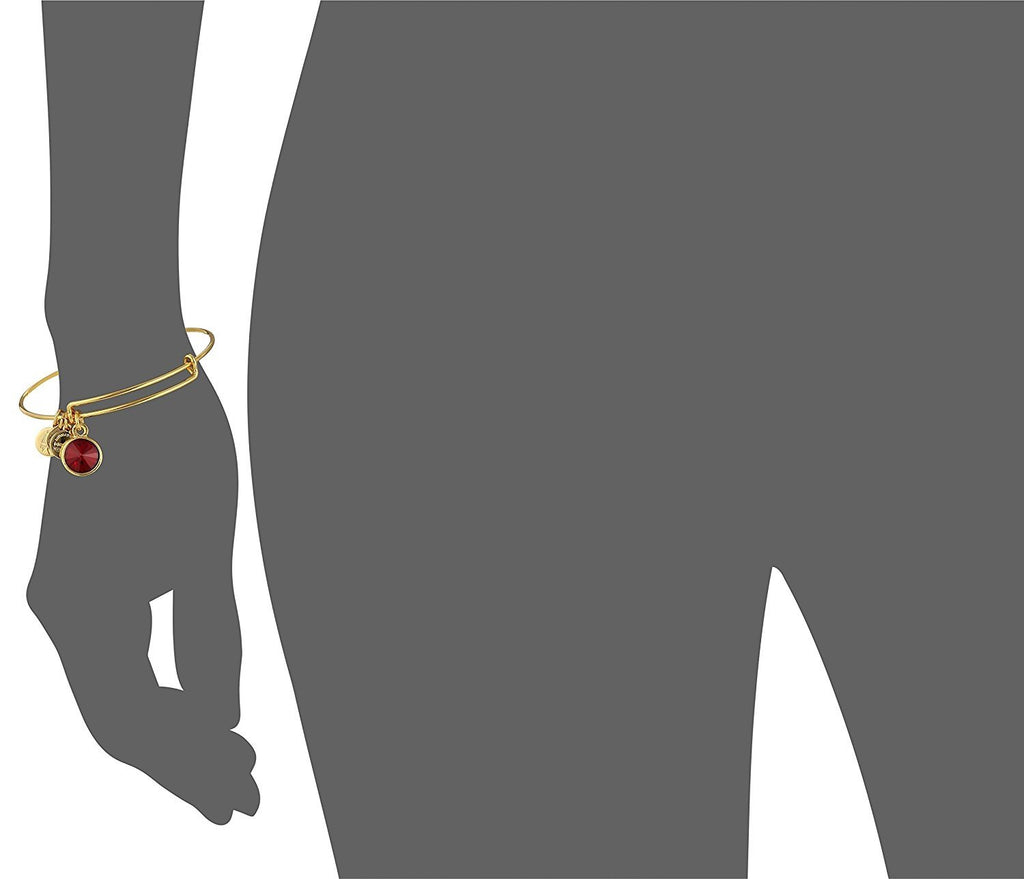 Alex and Ani Bangle Bar Imitation Birthstone Bangle Bracelet, 2.75"
