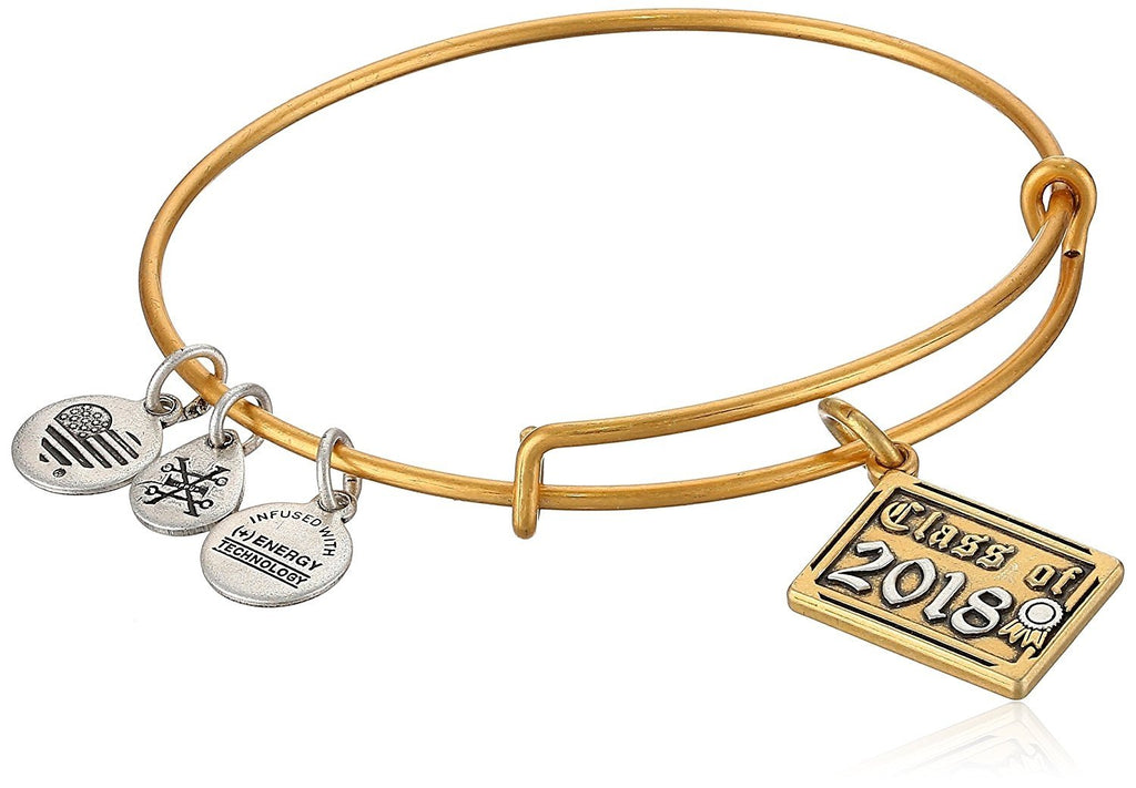 Alex and Ani Womens Class of 2018 EWB Bangle Bracelet, Expandable