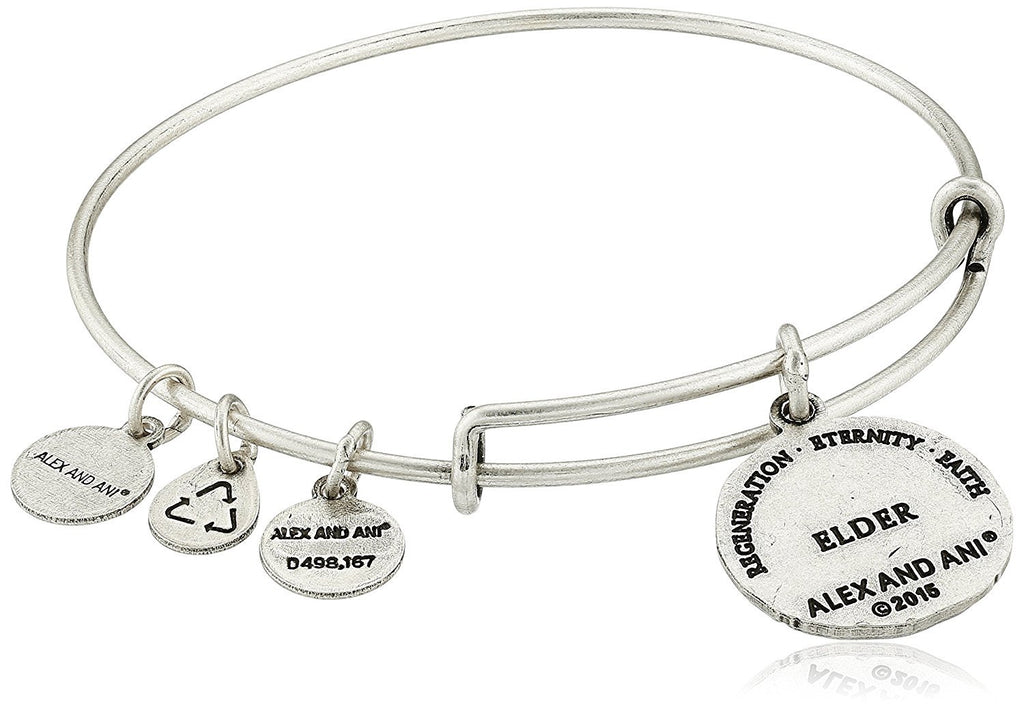 Alex and Ani The Truth of Dreams Bangle Bracelet