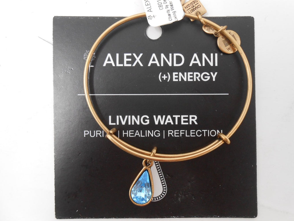 Alex and Ani Charity By Design Living Water International Bangle Bracelet
