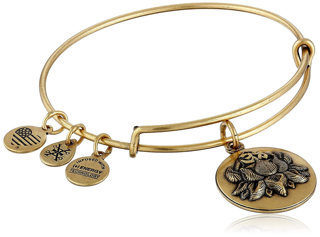 Alex and Ani Lotus Peace Petals III Expandable Rafaelian Bangle Bracelet