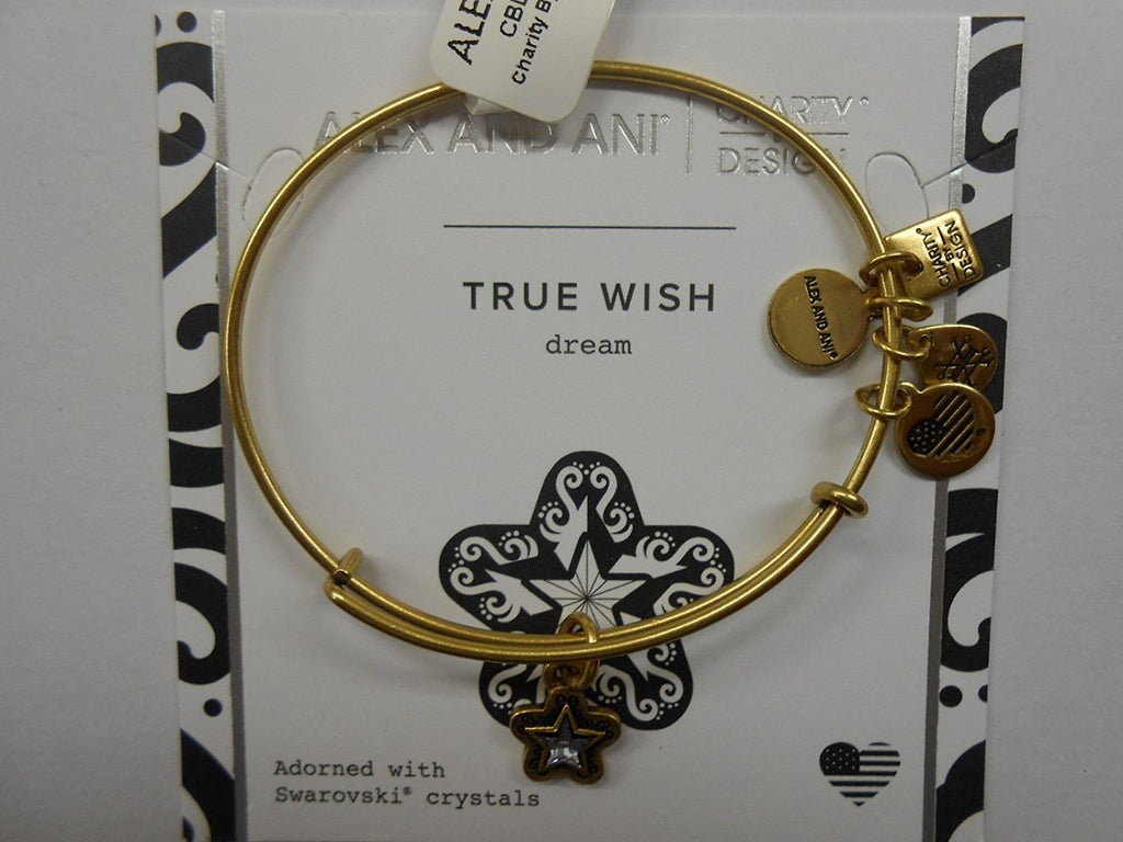 Alex and Ani Charity Design, True Wish EWB Bangle Bracelet
