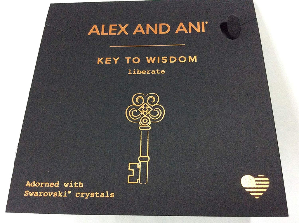 Alex and Ani Key to Widsom Bangle Bracelet Midnight Silver NWTBC