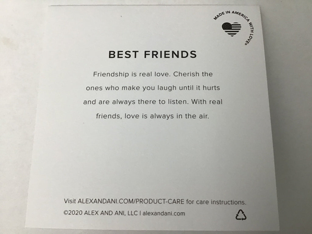 Alex and ANI Color Infusion Best Friends Duo Charm Bangle Bracelet Silver One Size