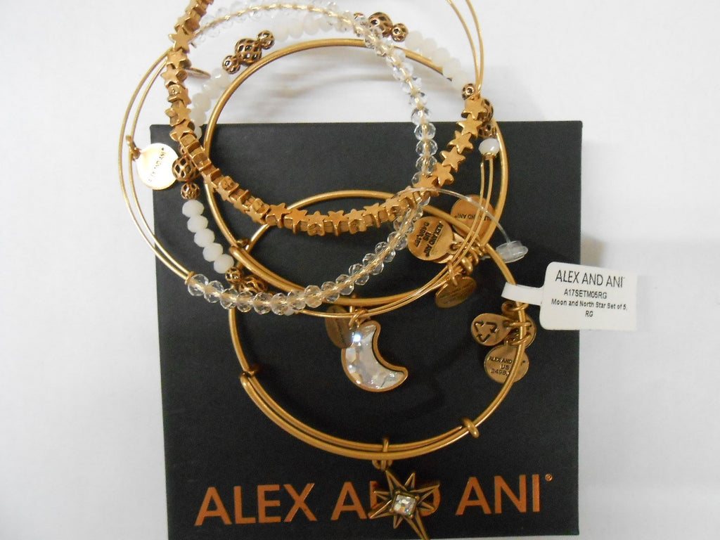 Alex and Ani Moon & Star Set of 5 Bangle Bracelet