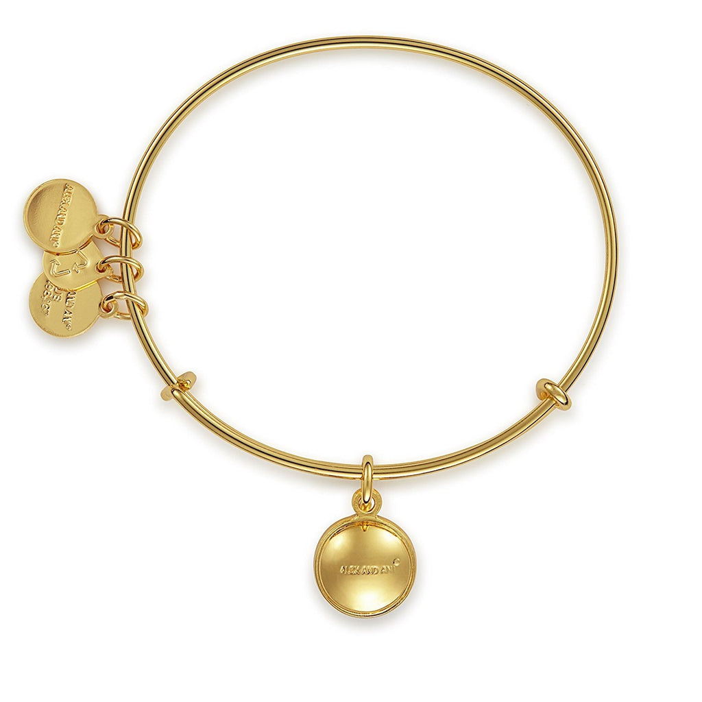 Alex and Ani Bangle Bar Imitation Birthstone Bangle Bracelet, 2.75"