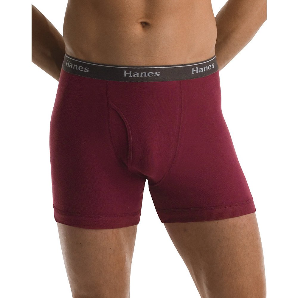 Hanes Men's Tagless Boxer Briefs 10-PACK Underwear S, M, L XL Colors May Vary