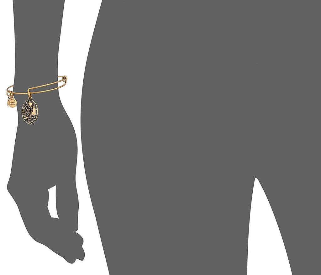 Alex and Ani Aunt Rafaelian Bangle Bracelet