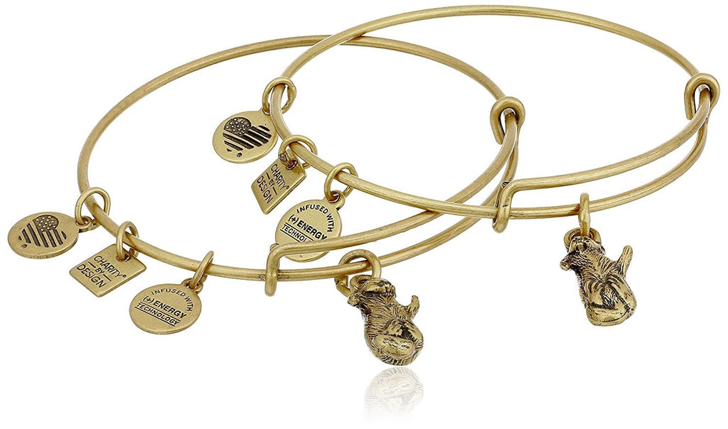 Alex and Ani Womens Charity by Design Side by Side Set of 2 Expandable Wire Bangles
