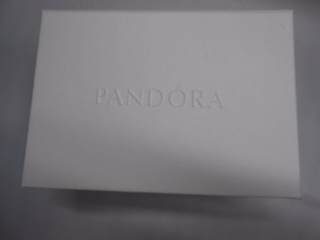 PANDORA CARE KIT Key Chain + Brush+2 Polishing Cloths+2 Pouches +Care Guide NEW