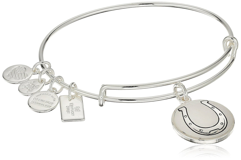Alex and Ani Horseshoe Expandable Bangle Bracelet