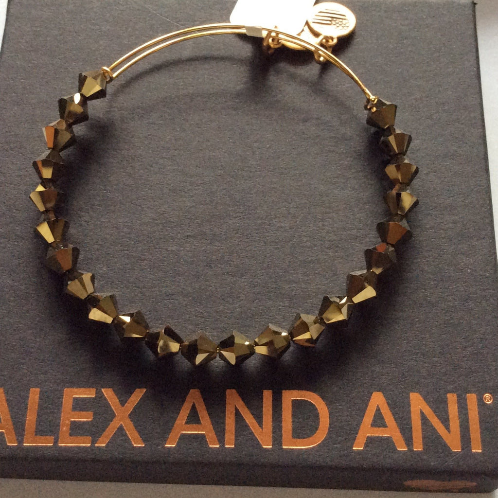 Alex and Ani Gold Foil Bangle Bracelet Shiny Gold Tag Box Card