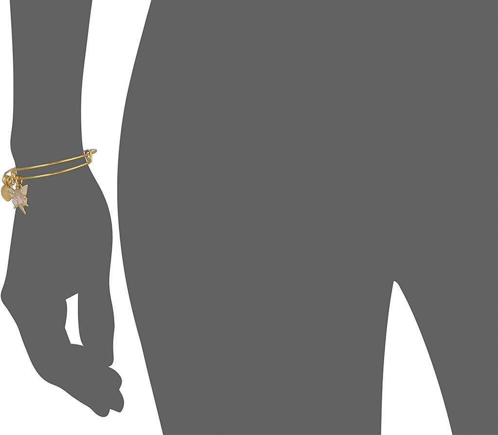 Alex and Ani Charity by Design Fairy Bangle Bracelet
