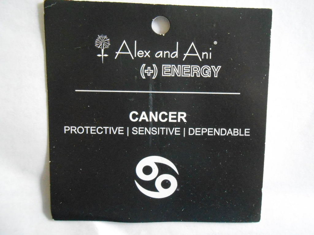 Alex and Ani Zodiac II Expandable Wire Bangle Bracelet