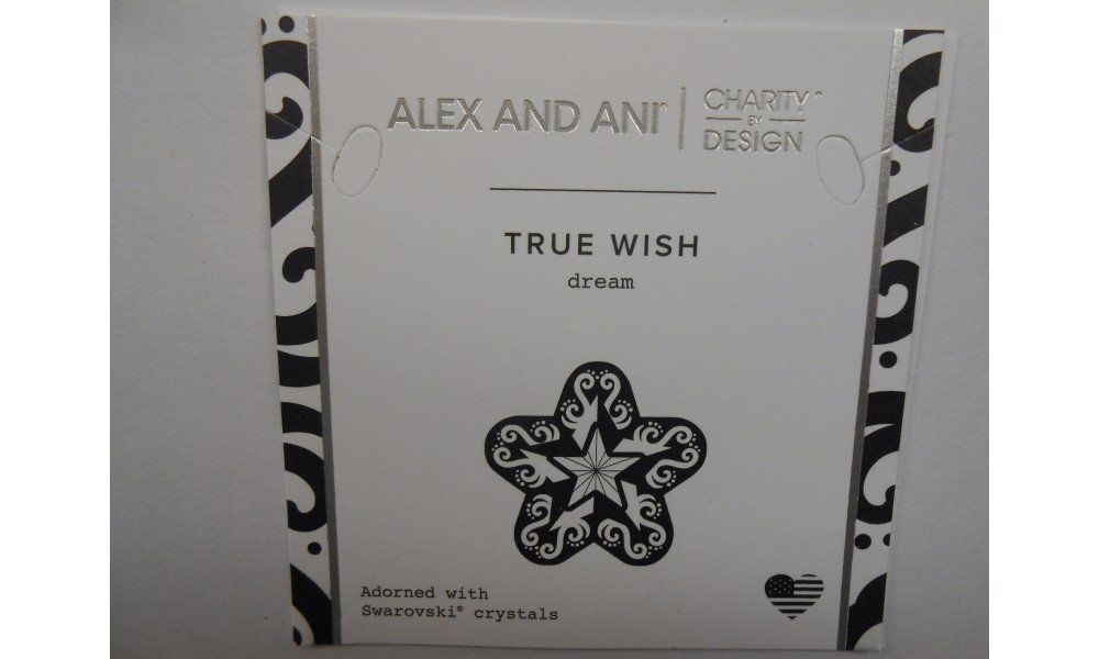 Alex and Ani Charity Design, True Wish EWB Bangle Bracelet