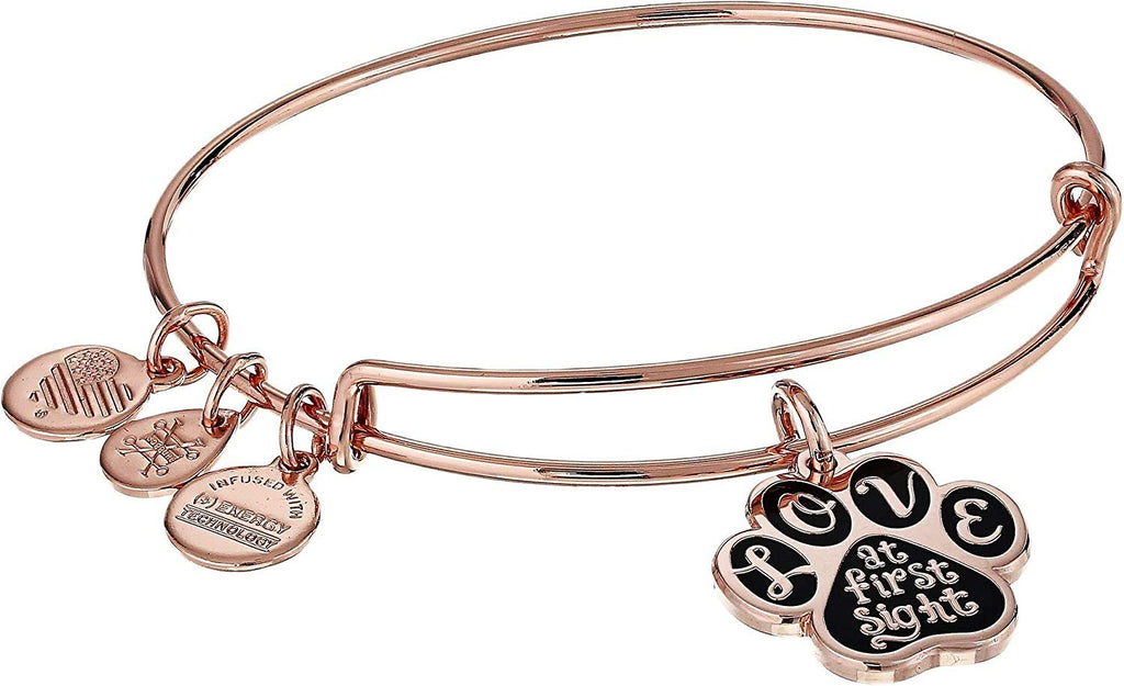 Alex and Ani Womens Words are Powerful - Love at First Sight Bangle