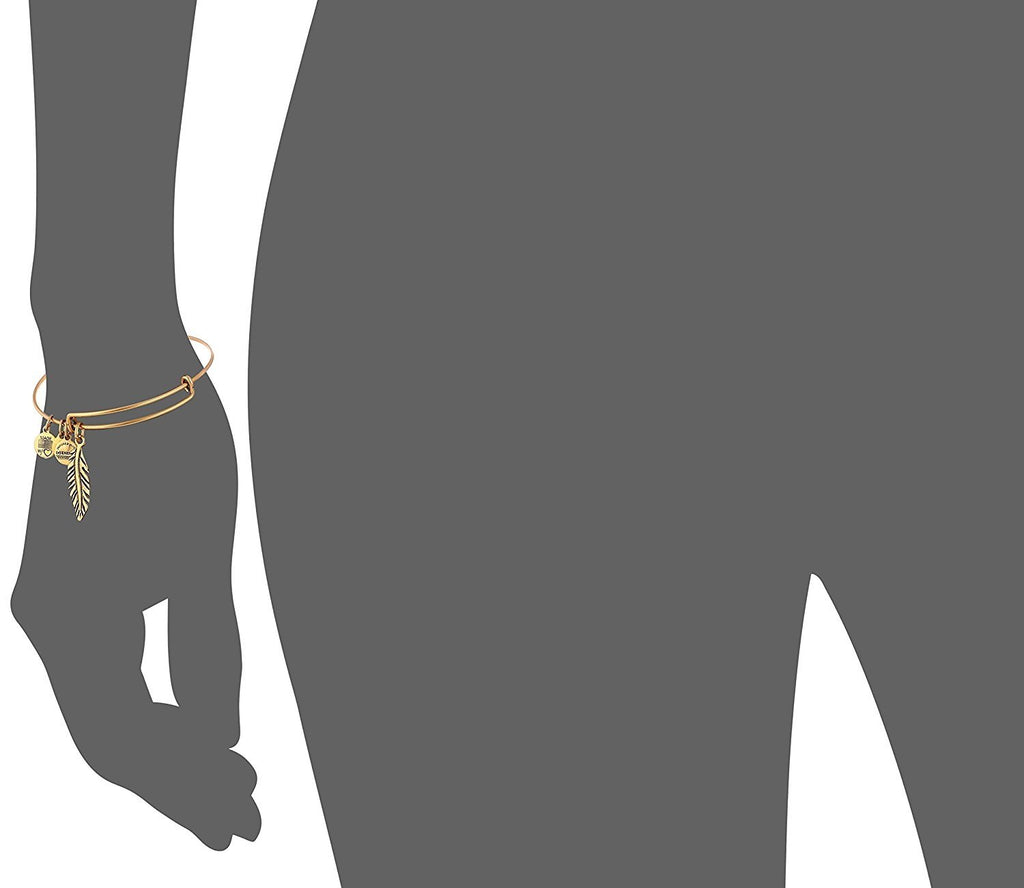 Alex and Ani Women's Feather Charm Bangle Rafaelian Gold Finish One Size